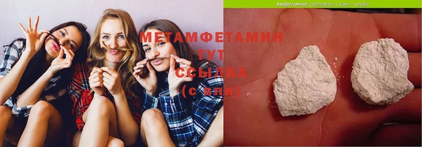 прущие грибы Бронницы