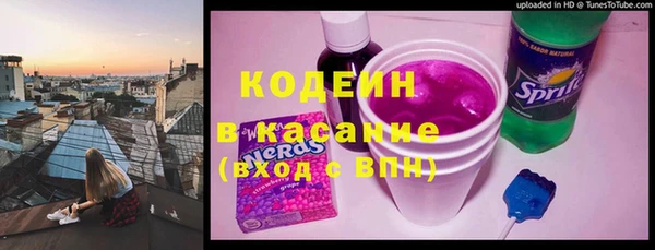 прущие грибы Бронницы