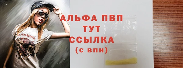 ешки Бородино