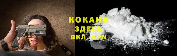 прущие грибы Бронницы