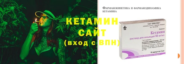 прущие грибы Бронницы
