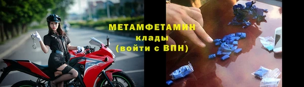 прущие грибы Бронницы