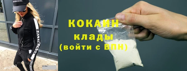 прущие грибы Бронницы