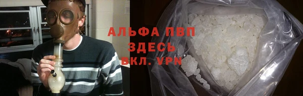 ешки Бородино