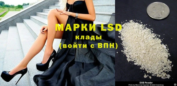 ешки Бородино