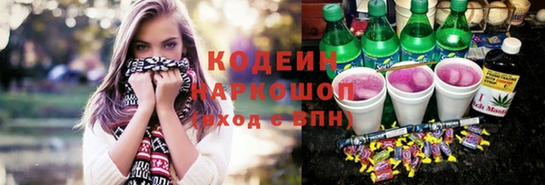 ешки Бородино