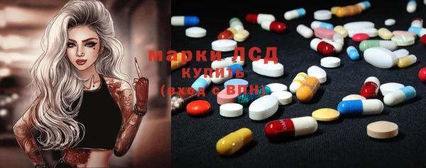 прущие грибы Бронницы