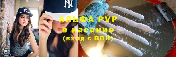 прущие грибы Бронницы
