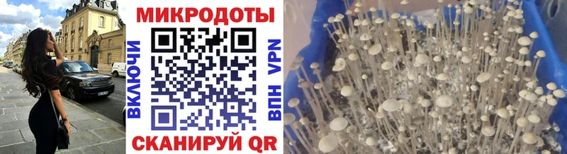 Псилоцибиновые грибы ЛСД  Бугуруслан 
